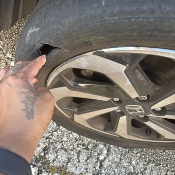 Tire Kingdom - Tires Near Me - Hollywood, Florida Tire Kingdom - Tires Near Me - Hollywood, Florida