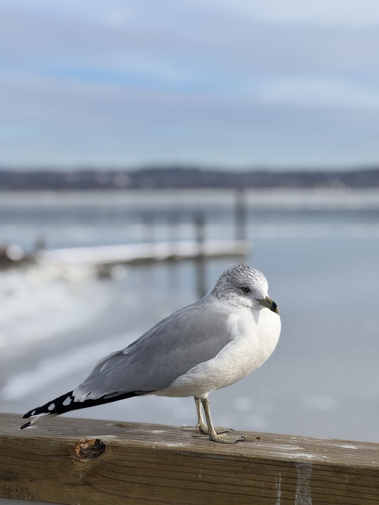 Memorial Park - social services organization in Nyack, NY