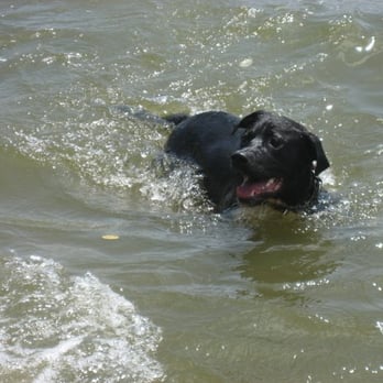Quiet Waters Park - Parks Near Me - Annapolis, Maryland