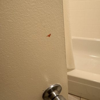 Pleasant Inn - Blood on bathroom door - Hotels Near Me - San Diego, California Pleasant Inn - Blood on bathroom door - Hotels Near Me - San Diego, California