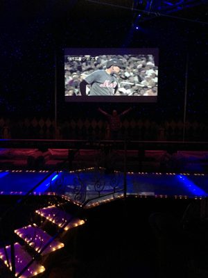 The Projector Guys by null