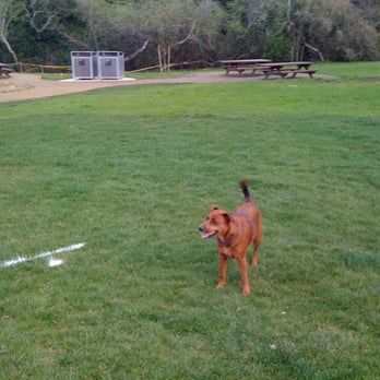 Laurelwood Park/Sugarloaf - Puppy friendly :) - Parks Near Me - San Mateo, California Laurelwood Park/Sugarloaf - Puppy friendly :) - Parks Near Me - San Mateo, California