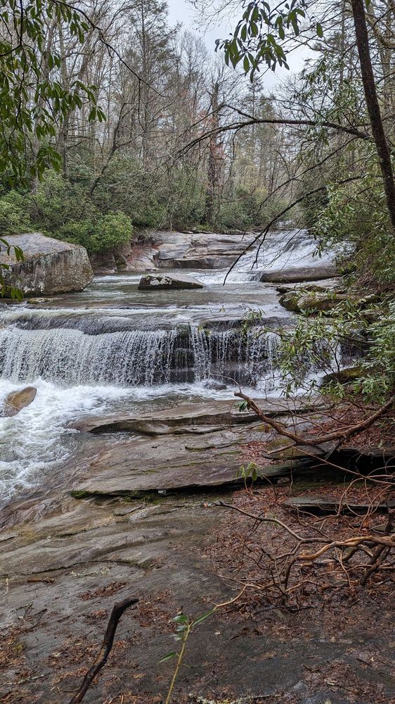 French Broad Falls & Mill Shoals Logo