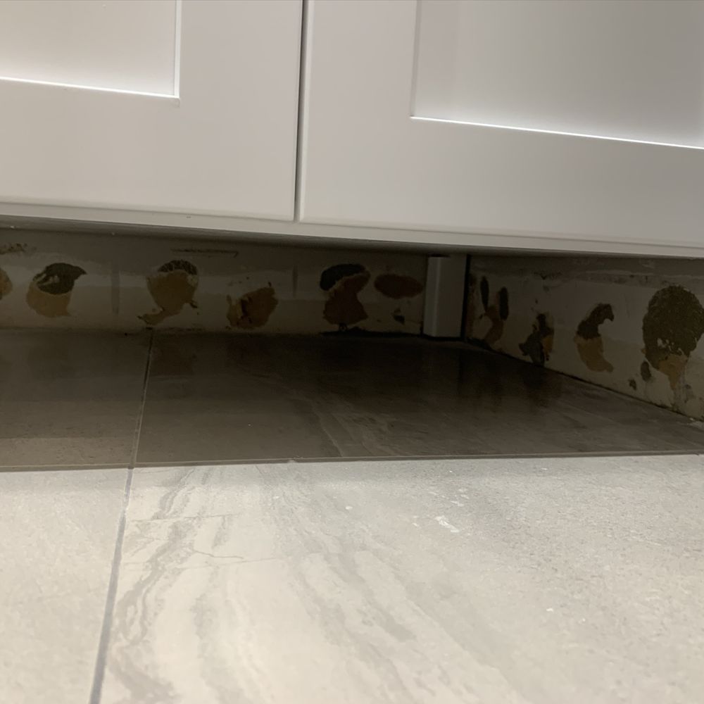 Diana Bastone Designs - Baseboard not installed underneath the vanity in the powder room - Interior Design Near Me Diana Bastone Designs - Baseboard not installed underneath the vanity in the powder room - Interior Design Near Me