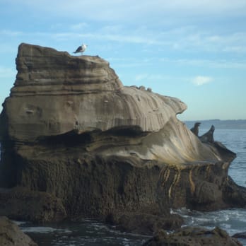 La Jolla Cove - Parks Near Me - La Jolla, California La Jolla Cove - Parks Near Me - La Jolla, California