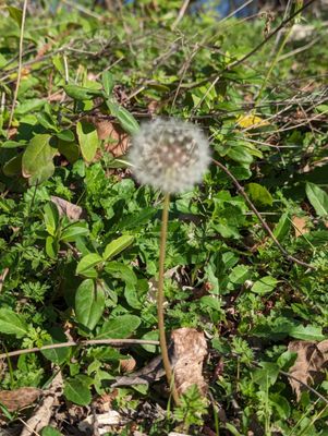 Bethany Lakes Park by null