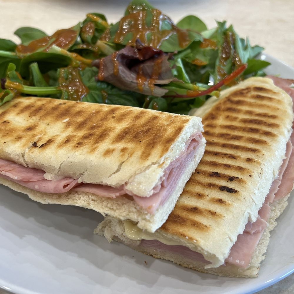 Ham and Ham & Cheese Panini Ham and Ham & Cheese Panini