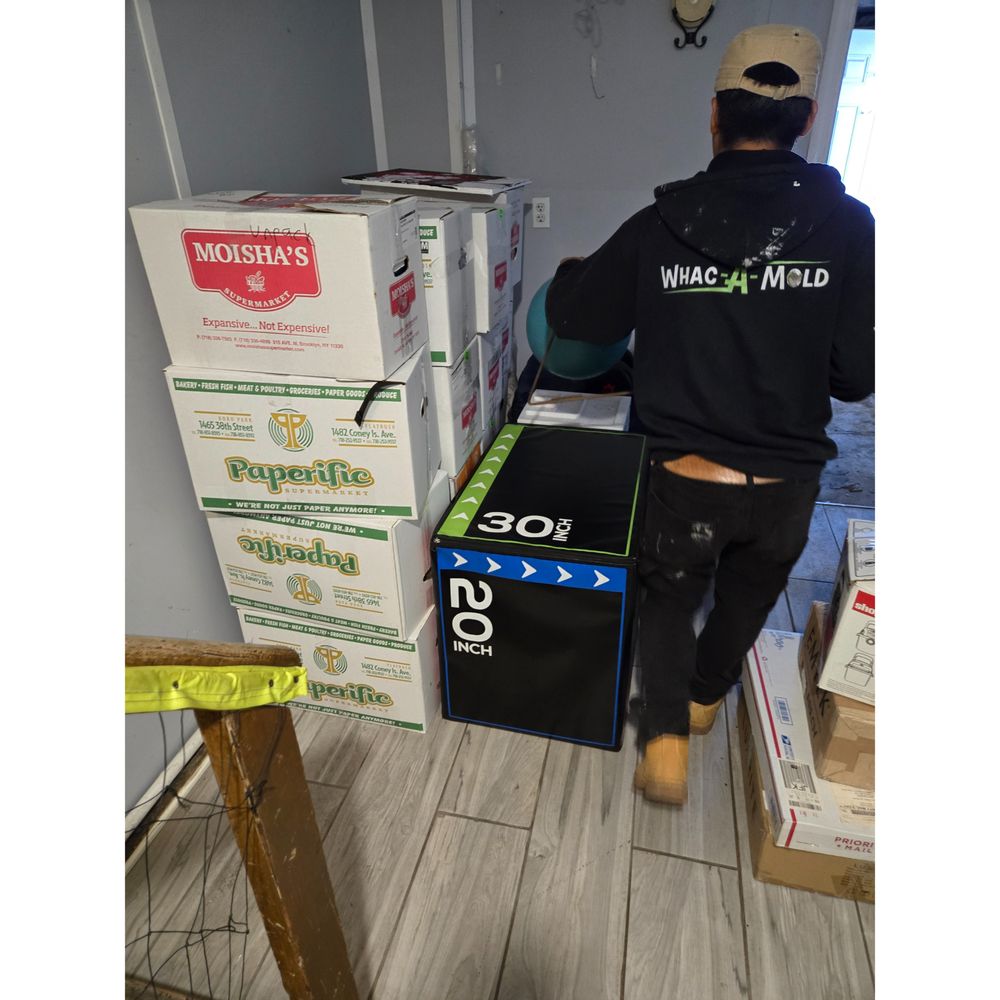 Slide of Whac A Mold