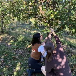 Chattooga Belle Farm