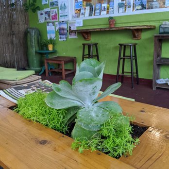 Date & Thyme - Vegetarian Near Me - Key West, Florida Date & Thyme - Vegetarian Near Me - Key West, Florida