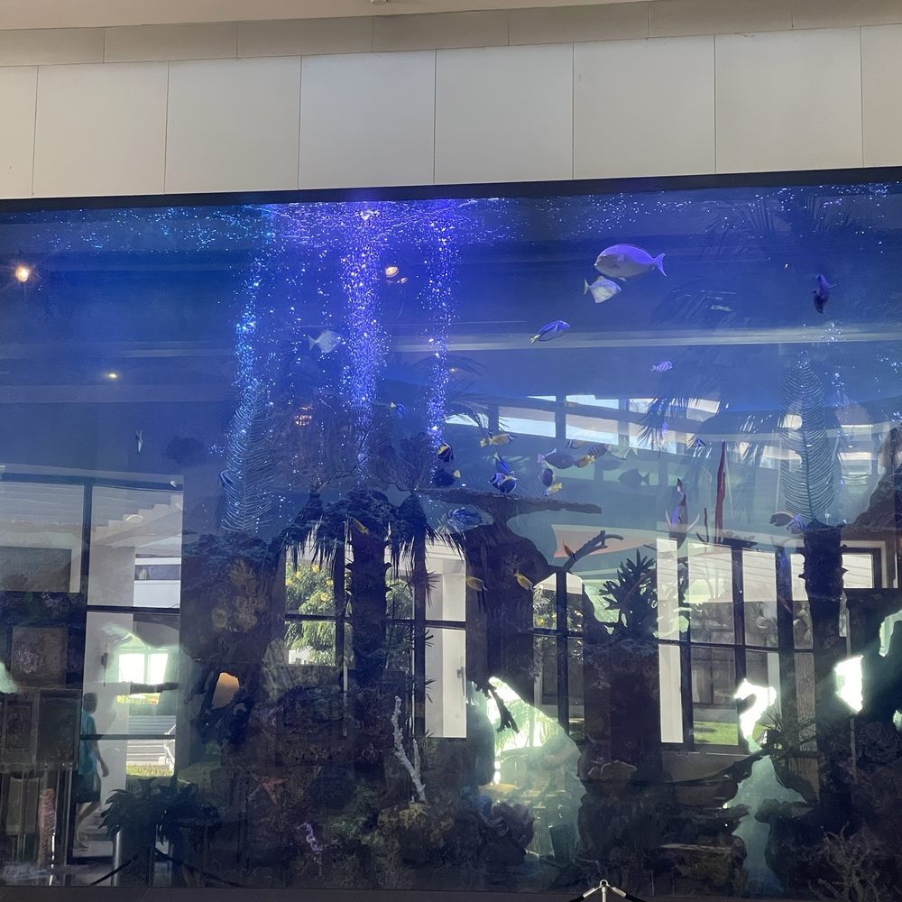 Cerritos Library - Beautiful fish tank in the entrance - Libraries Near Me - Cerritos, California