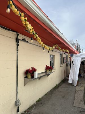 Mercado Sin Nombre by null