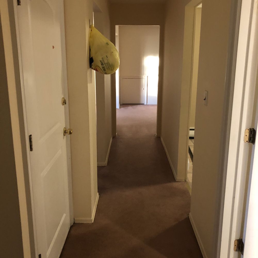 Good guy rug cleaning - Clean carpet - Carpet Cleaning Near Me - Cedarhurst, New York