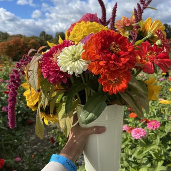 Triple B Farms - Bucket full of fall flowers in season - Pick Your Own Farms Near Me - Monongahela, Pennsylvania
