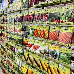 Discount Drug Mart - Seeds