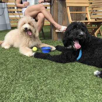 Fetch Park - Dog Parks Near Me - Atlanta, Georgia