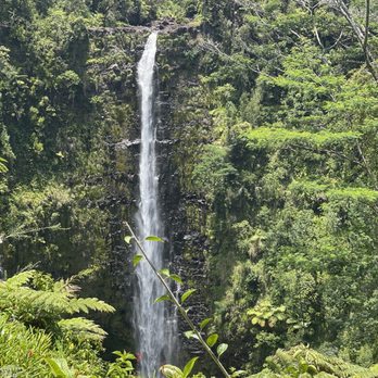 Akaka Falls State Park - Parks Near Me - Honomu, Hawaii Akaka Falls State Park - Parks Near Me - Honomu, Hawaii