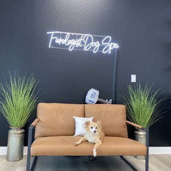 Furologist Dog Spa - Pet Groomers Near Me - San Jose, California