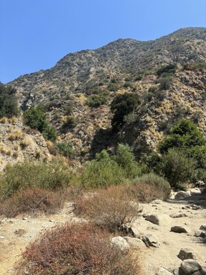 Eaton Canyon Falls by null