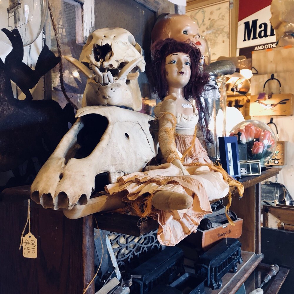 Dolly Python - Used, Vintage & Consignment Near Me - Dallas, Texas