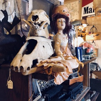 Dolly Python - Used, Vintage & Consignment Near Me - Dallas, Texas