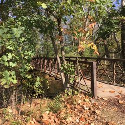 Renfrew Museum and Park - Fall is the perfect time to stroll through Renfrew Museum and Park. The air is crisp and the leaves are colors are pretty.