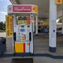 Photo of Shell