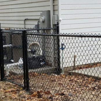 Easter Fence - a dog in a basket in front of a house - General Contractors Near Me - St. Louis, Missouri Easter Fence - a dog in a basket in front of a house - General Contractors Near Me - St. Louis, Missouri