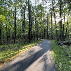 Wannamaker North Trail - Bike/walking trail with alternate dirt-packed paths