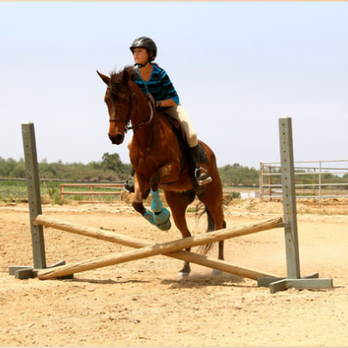 2nd Star To The Right - Horse Boarding Near Me - San Diego, California 2nd Star To The Right - Horse Boarding Near Me - San Diego, California