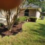 Photo of Big Mike & Son's Lawn care