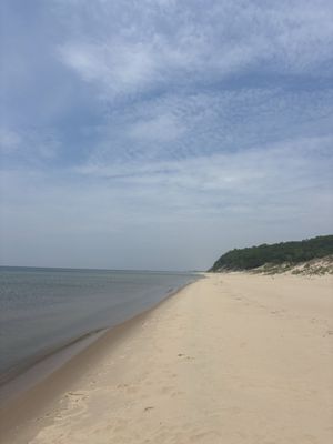 Rosy Mound Natural Area by null