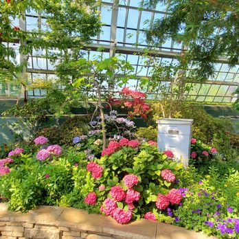 Garfield Park Conservatory - Flowers - Parks Near Me - Chicago, Illinois