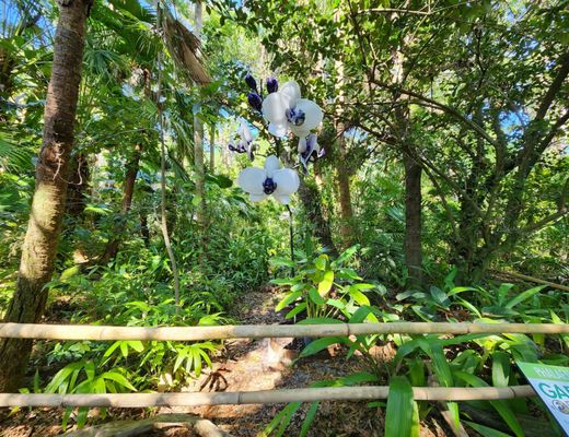 McKee Botanical Garden by null