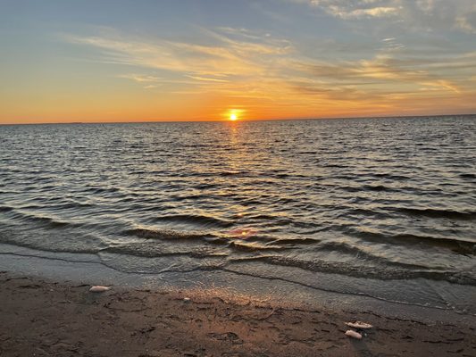 Fred Howard Park by null