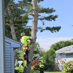 Long Island Tree & Landscape Service