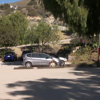 Courtship Ranch - Ample space for parking. - Horseback Riding Near Me - Sylmar, California