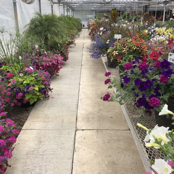 Miller Greenhouse - Nurseries & Gardening Near Me - Grand Blanc, Michigan Miller Greenhouse - Nurseries & Gardening Near Me - Grand Blanc, Michigan