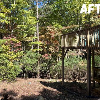 Hr Tree Service - The after of the clean up of trees and plants - Tree Services Near Me Hr Tree Service - The after of the clean up of trees and plants - Tree Services Near Me