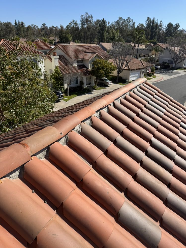 Slide of Carlos Martinez 