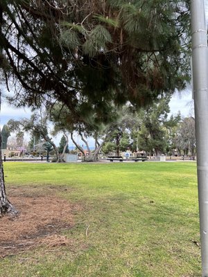 Civic Center Park by null