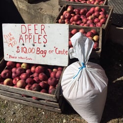 Beemerville Orchards - In case you feel like having more deer in your yard