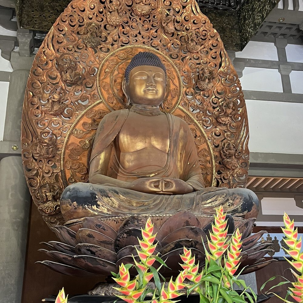 Go Tours Hawaii - Byodo temple - Bus Tours Near Me - Honolulu, Hawaii