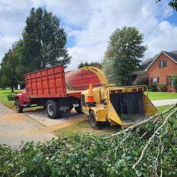 Antonio's Tree Service - Tree Services Near Me Antonio's Tree Service - Tree Services Near Me