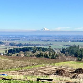 Brooks Wine - Wineries Near Me - Amity, Oregon