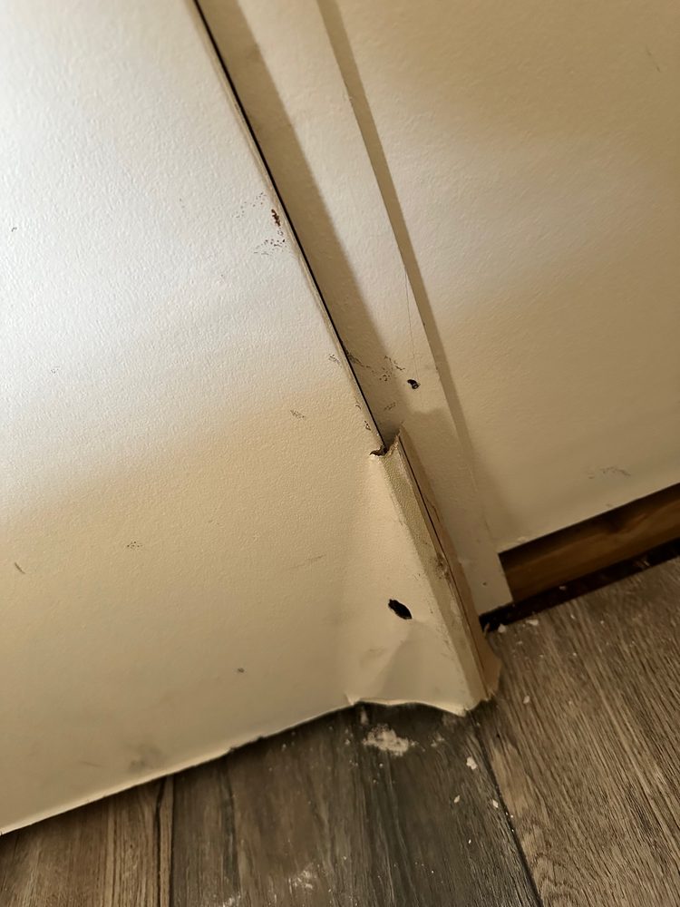 Slide of Cumming's Plumbing