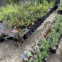 C & S Nursery