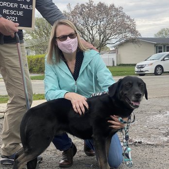 Border Tails Rescue - My Lyra, she couldn't have found a better family to spend her life with. Thank you Border Tails - Pet Adoption Near Me - Northbrook, Illinois