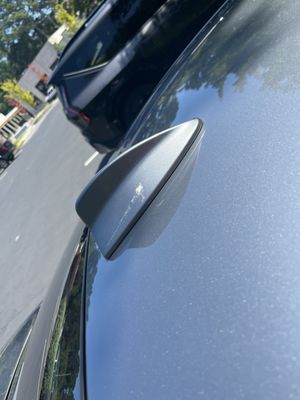 Onsite Shine by null
