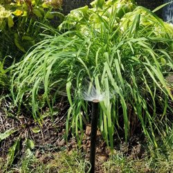 Essential Home Maintenance Checklist: Keep Your Home in Top Condition